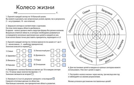 Чек лист колесо жизненного баланса