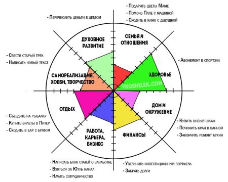 8 Сфер жизни человека колесо баланса