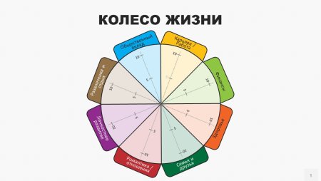 Колесо баланса жизни 12 сфер
