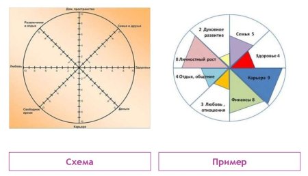 Колесо жизненного баланса 12 сфер