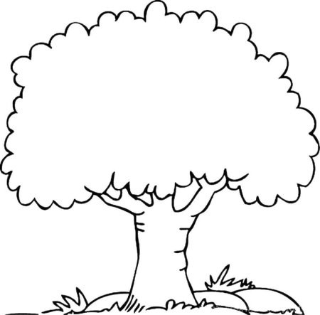 Шаблон дерево для рисования (46 фото)