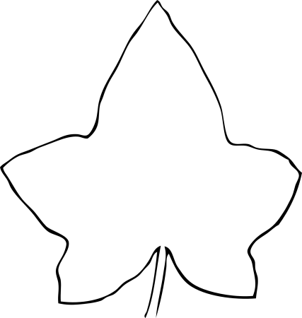 Листок тыквы