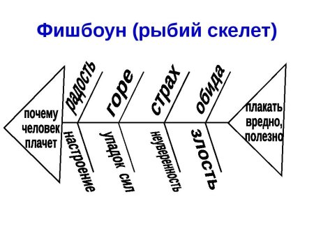 Фишбоун Евгений Онегин