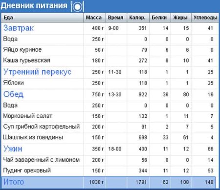 Пример пищевого дневника для похудения