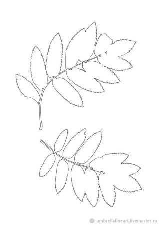 Шаблон листья рябин (43 фото)