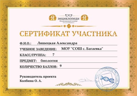 Сертификат для дошкольников