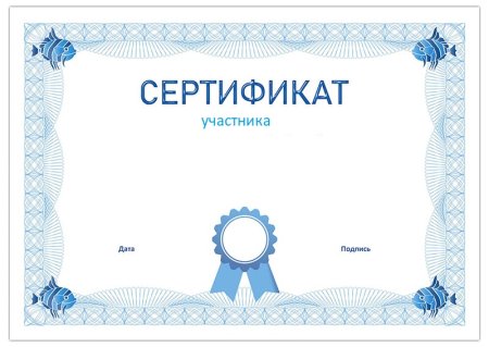 Сертификат шаблон