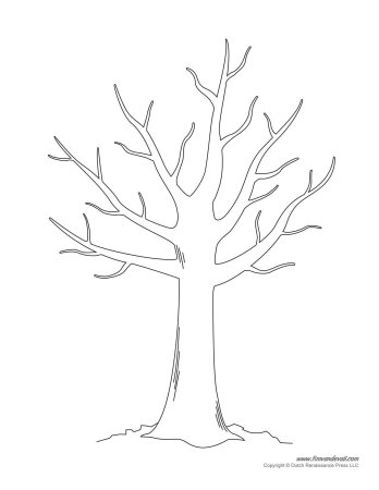 Шаблон дерева для рисования для детей (49 фото)