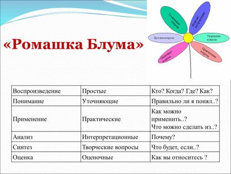 Ромашка Блума Дубровский