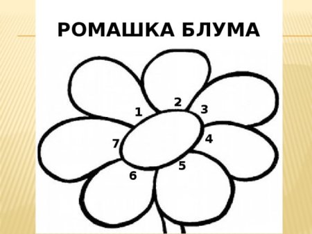 Ромашка Блума