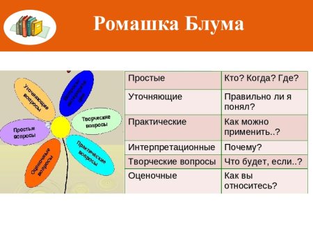 Ромашка Блума рисунок