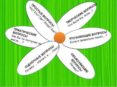 Ромашка Блума вопросы