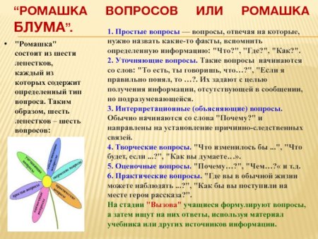 Ромашка Блума 6 лепестков
