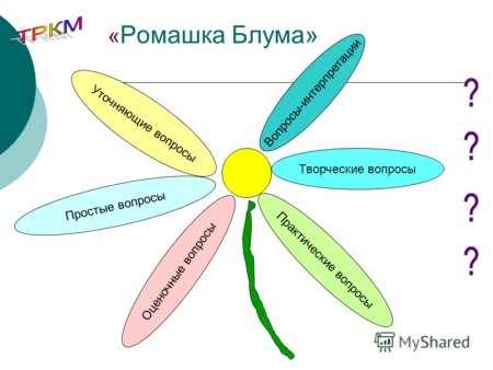 Ромашка Блума в начальной школе