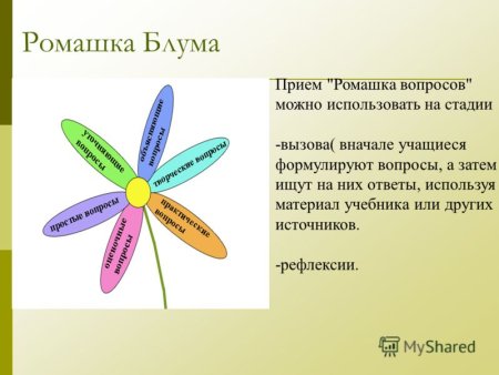 Ромашка Блума