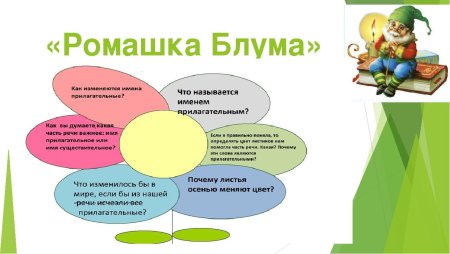 Ромашка вопросов Ромашка Блума