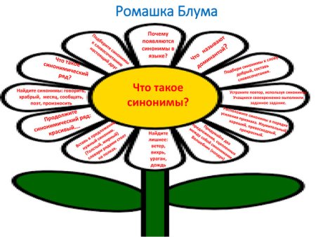 Ромашка Блума на уроках информатики