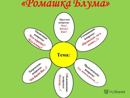 Ромашка Блума