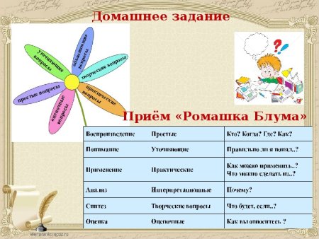 Ромашка Блума шесть лепестков шесть типов вопросов