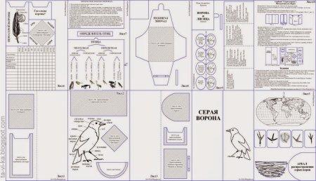 Интересные идеи для лэпбука
