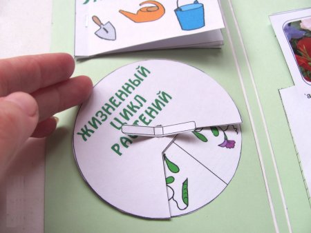 Карточки для лэпбука
