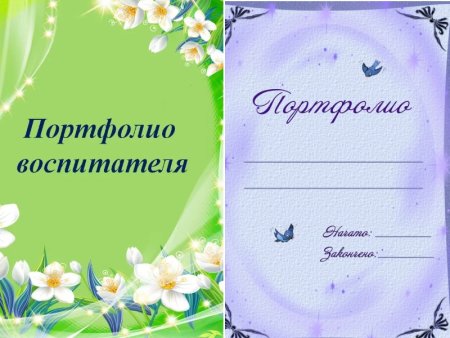 Портфолио воспитателя ДОУ