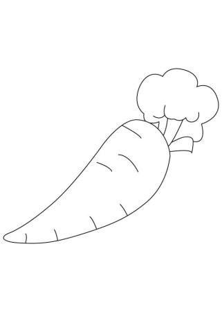 Морковь силуэт