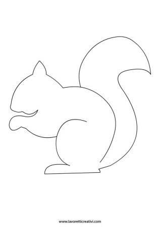 Контур белки