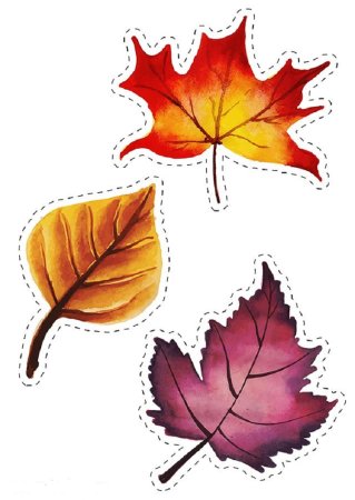 Шаблон цветные листики осенние (49 фото)