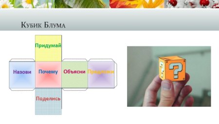 Кубик Блума Блума