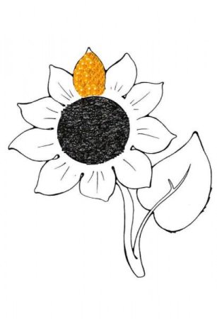 Подсолнух рисунок
