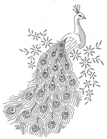 Раскраска павлина