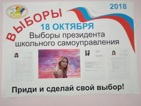 Предвыборная кампания в президенты школы