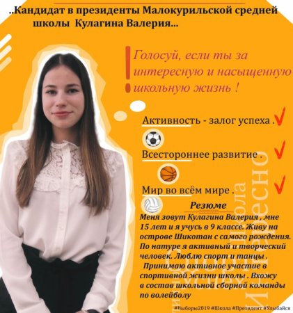 Предвыборная кампания в школе