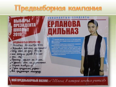 Предвыборная программа в школе