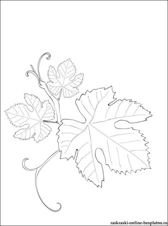 Виноградный лист трафарет