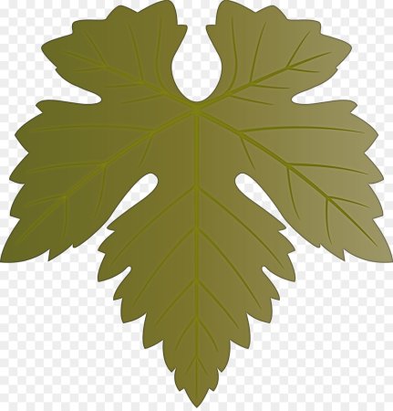Лист винограда шаблон