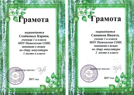 Акция Собери макулатуру сохрани дерево