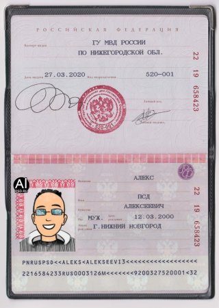 Шаблон паспорта (44 фото)