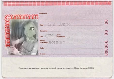 Обложка на загранпаспорт