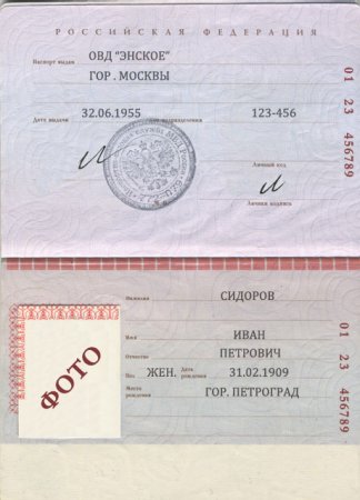 Шаблон паспорта пустой