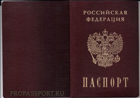 Страницы паспорта РФ