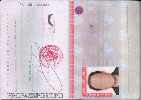 Паспорт шаблон