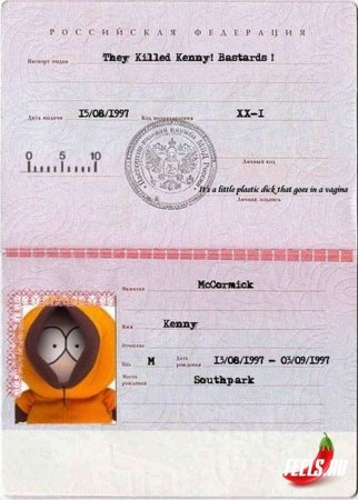 Паспорт шаблон