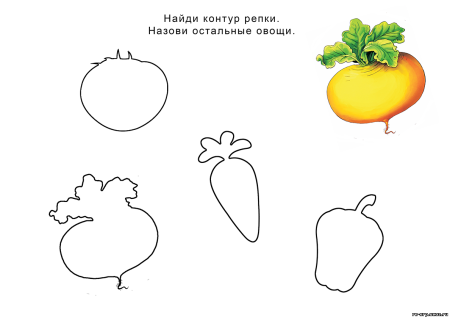 Сказка Репка задания для дошкольников