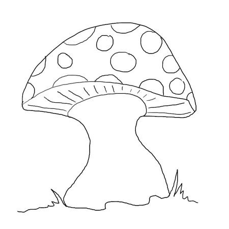 «Грибы для белки» (Комарова, с.36)