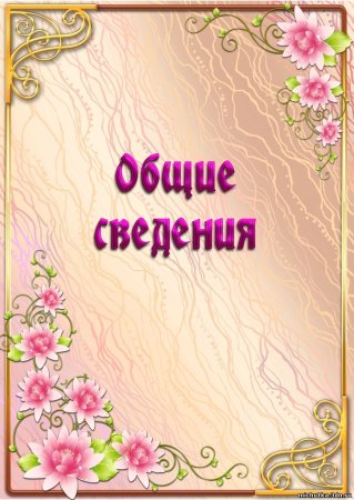 Портфолио воспитателя