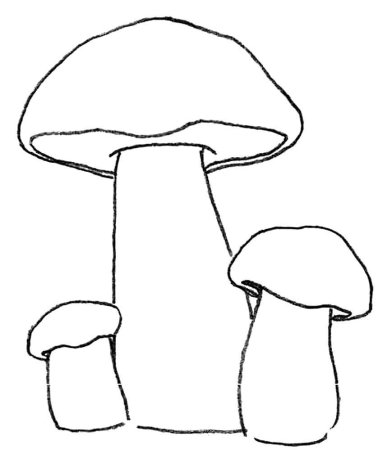 Шаблон белый гриб для аппликации (45 фото)