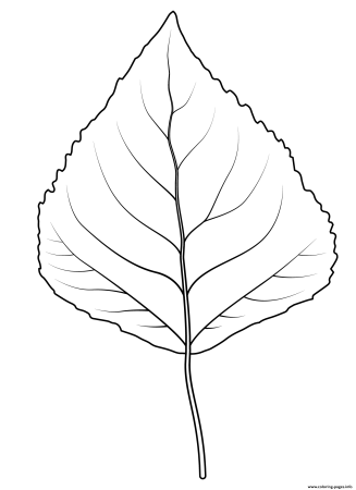 Шаблон лист осины (35 фото)