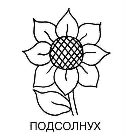 Трафарет подсолнуха для вырезания